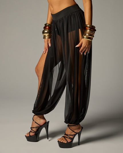 Wish List Sheer Mesh Harem Pants